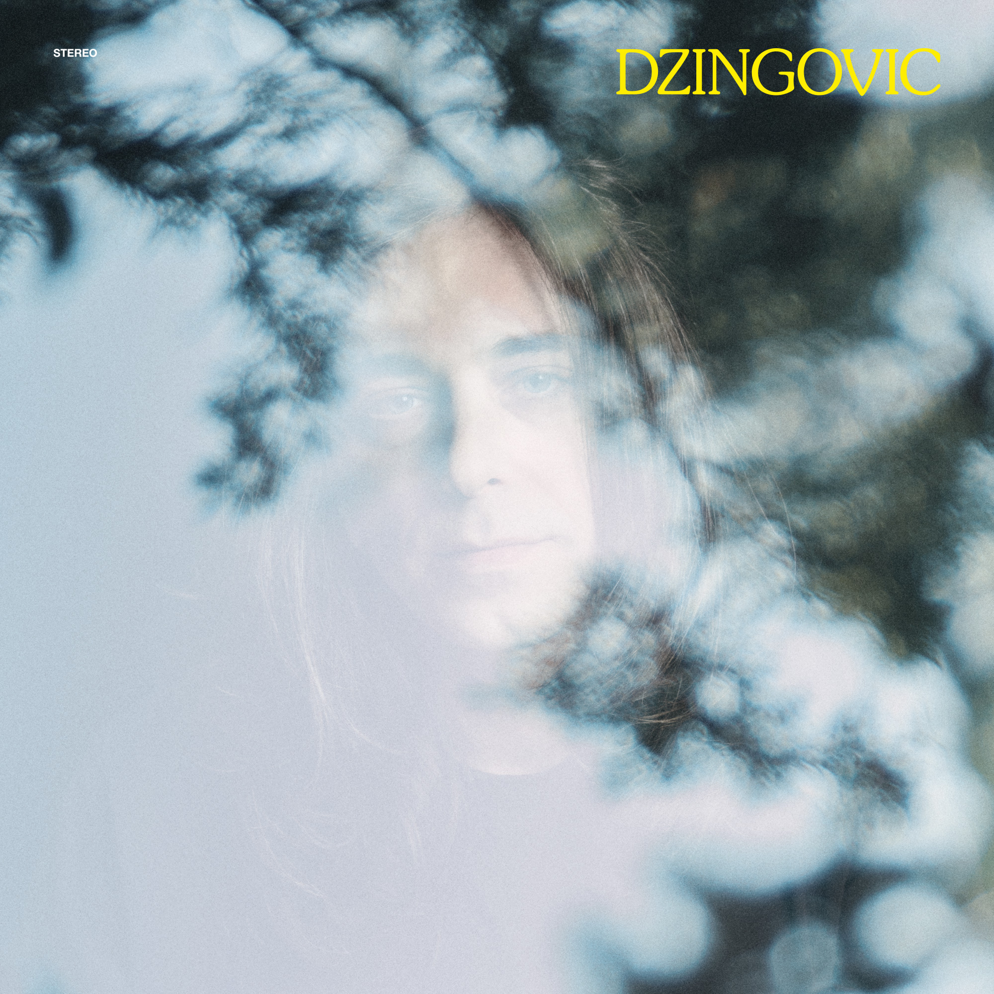 Dzingo_Cover