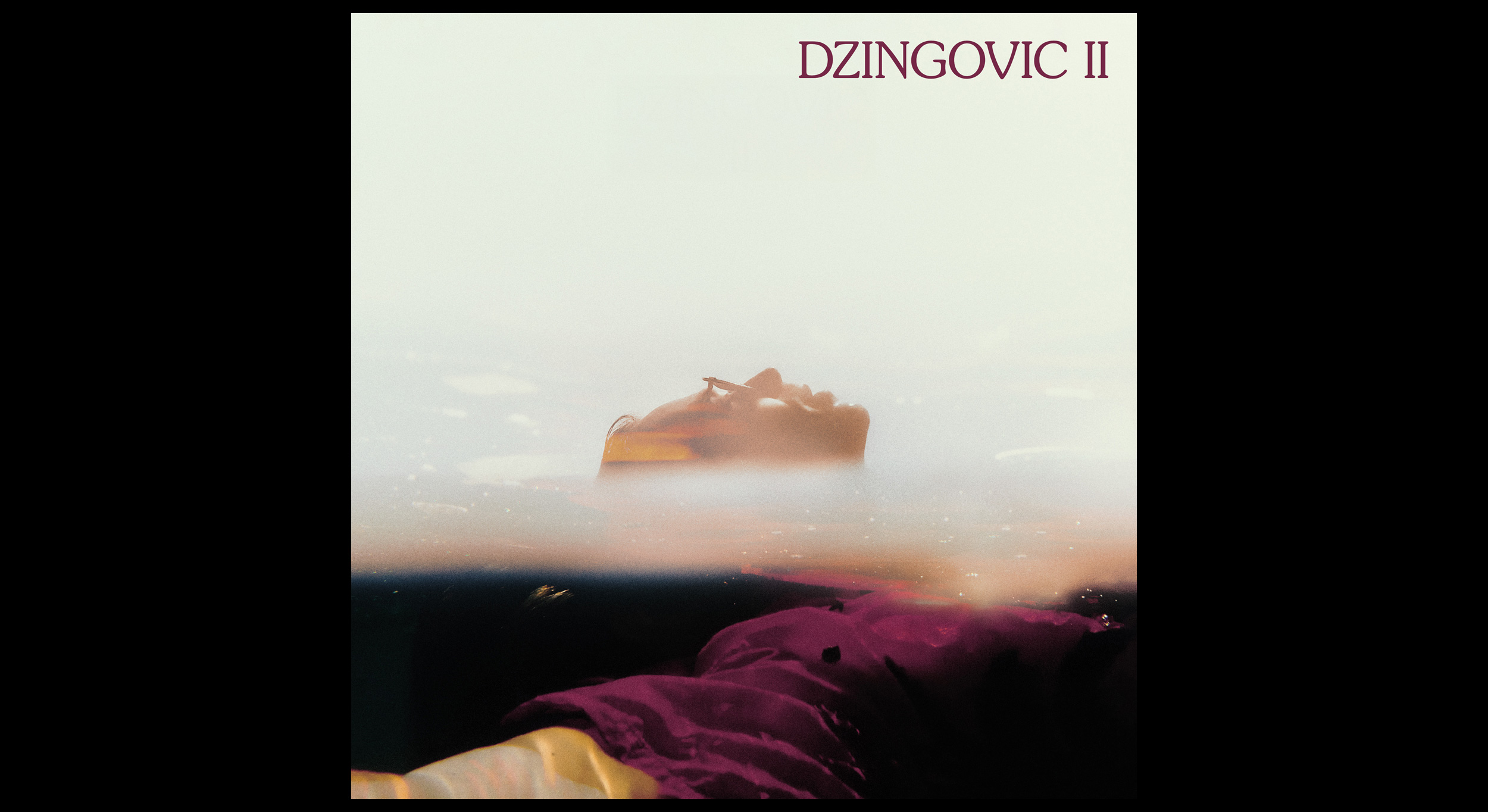 Dzingovic2_01