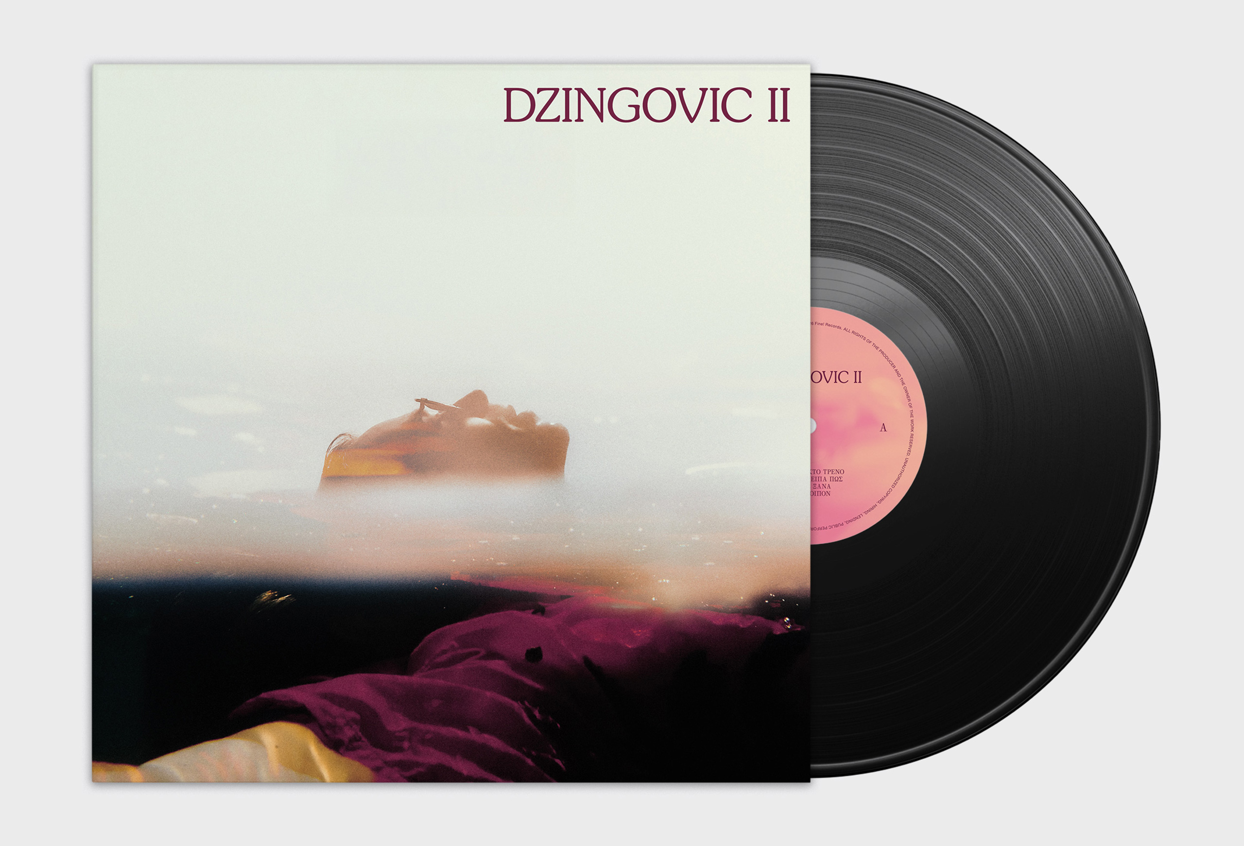 Dzingovic2_02