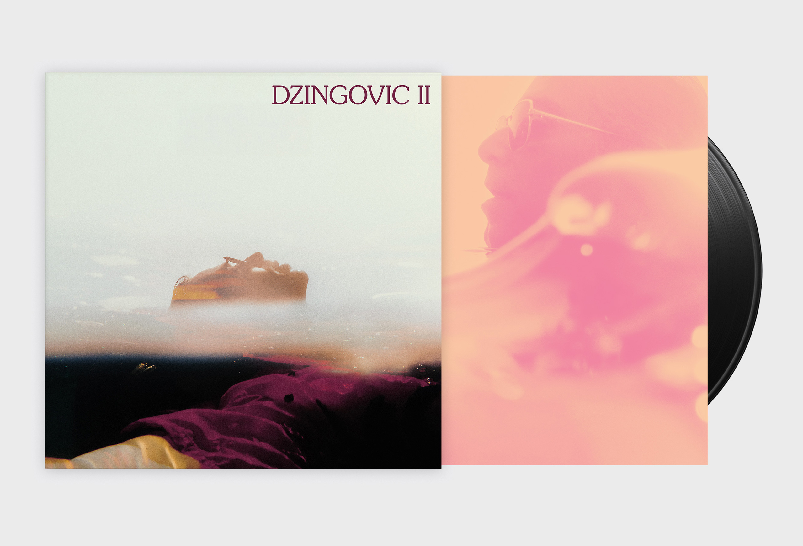 Dzingovic2_04